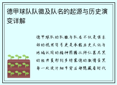德甲球队队徽及队名的起源与历史演变详解